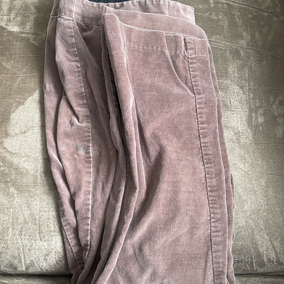 Ann Taylor loft petites 12P Marissa Skinny chocolate brown velvet dress pants - Picture 10 of 10